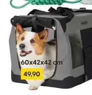Dog Carrier
