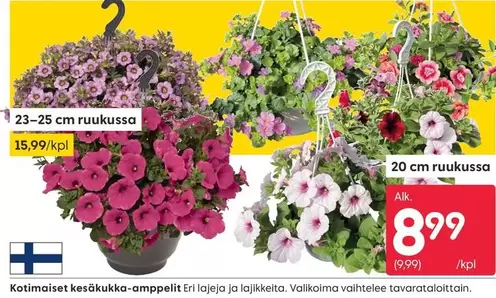 Kotimaiset kesäkukka-ampelit