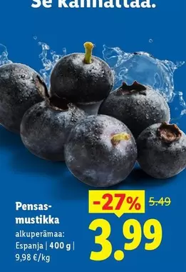 Pensas-mustikka