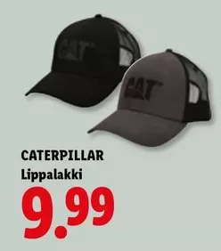 Lippalakki