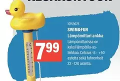 Lämpömittari ankka 10159076