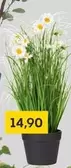 Artificial Daisy Plant