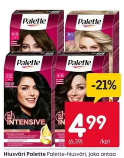 Palette Hiusväri