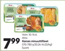 Kanan minuuttifileet