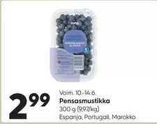 Pensasmustikka