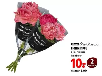 PIONIKIMPPPU
