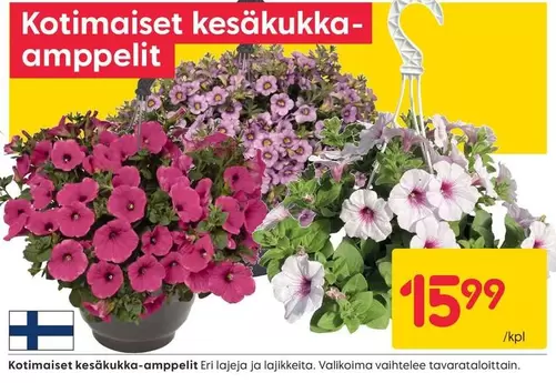 Kotimaiset kesäkukka-ampelit
