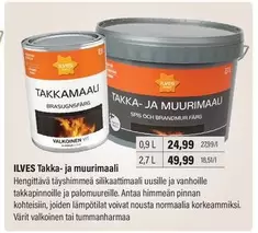 Takka- ja muurimaali