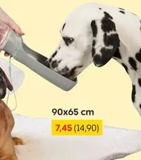 Portable Dog Water Bottle