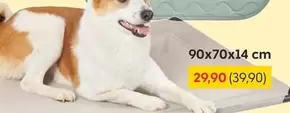 Dog bed