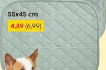 Absorbent pads