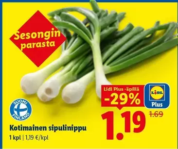 Kotimainen sipulinippu