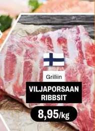 VILJAPORSAAN RIBBSIT