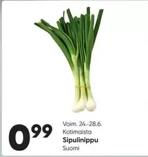 Sipulinipuu