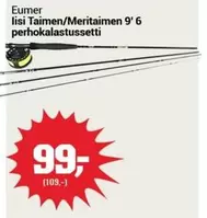 lisi Taimen/Meritaimen 9' 6 perhokalastussensetti