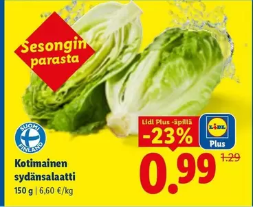 Kotimainen sydänsalaatti
