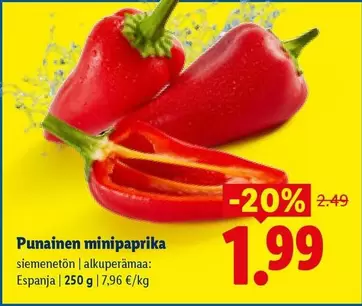 Punainen minipaprika
