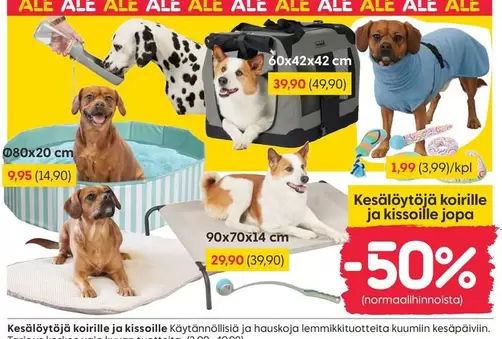 Koiran peti