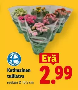 Kotimainen tulilatva