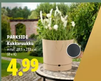 Kukkaruukku