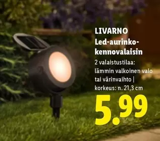 Led-aurinkokennovalaisin
