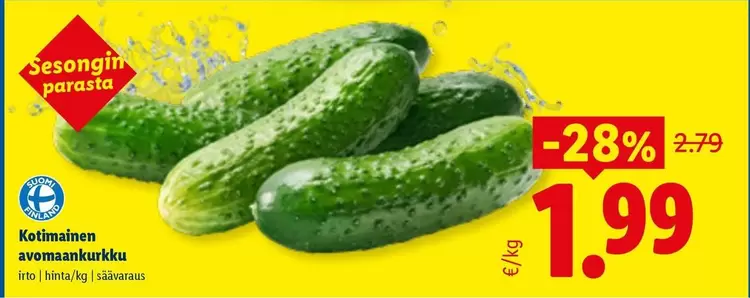 Kotimainen avomaankurkku