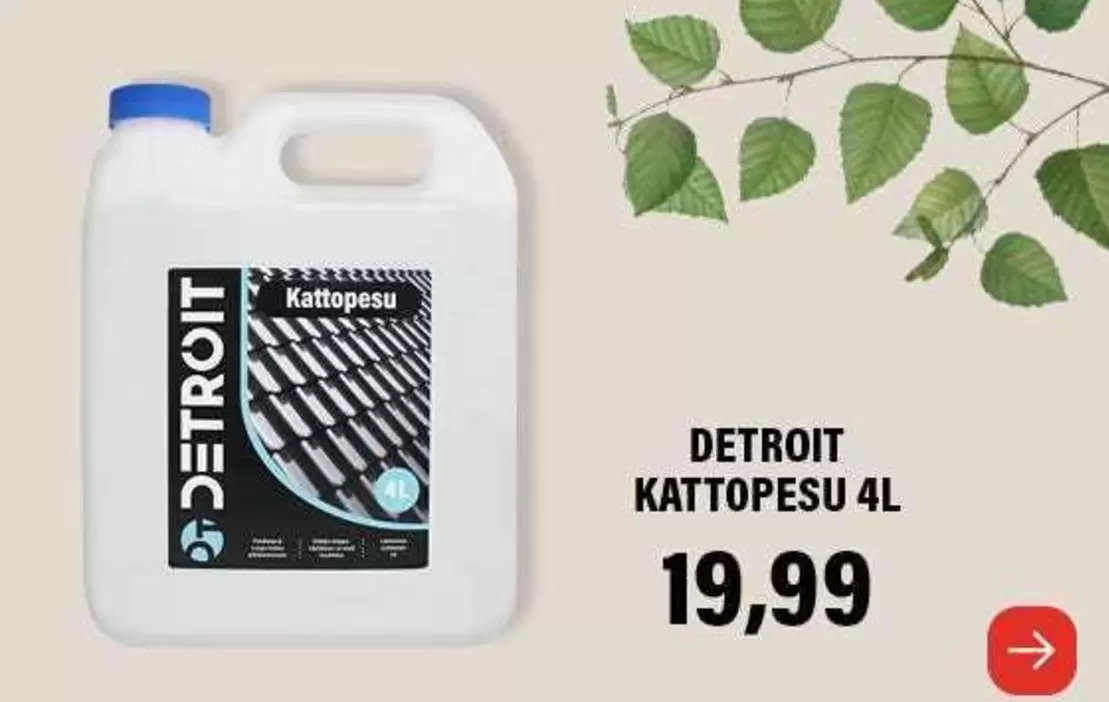 Kattopesu