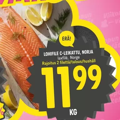 LOHIFILE C-LEIKATTU
