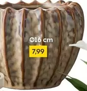 Ceramic pot