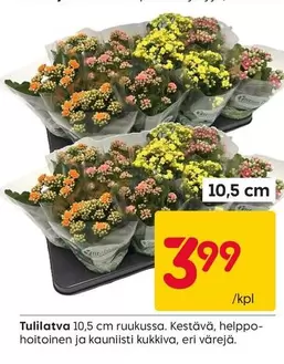 Tuliilatva