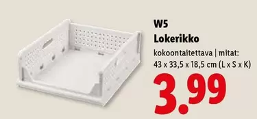 Lokkerikko