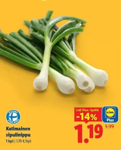 Kotimainen sipulinippu