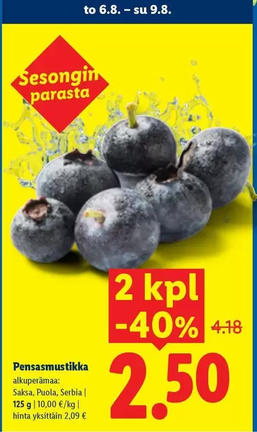 Pensasmustikka