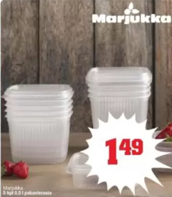 Marjukka 5 kpl 0,5 l pakasterasia