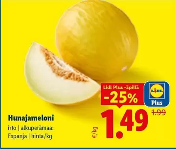 Hunajameloini