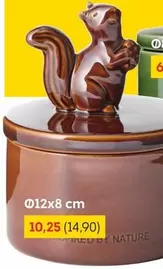 Squirrel Jar