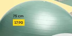 Fitness Ball