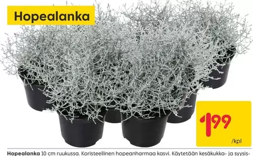 Hopealanka