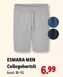 Collegehortsit
