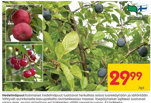 Hedelmäpuut