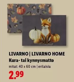 Kura- tai kynnysmatto