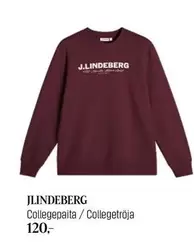 Collegepaita / Collegeläggning