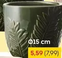 Pot