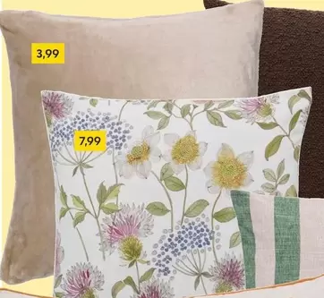 Cushion