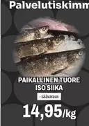 PAIKALLINEN TUORE ISO SIIKA