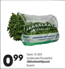 Jääsalaatti