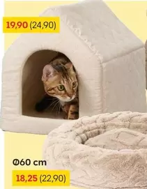 Cat house