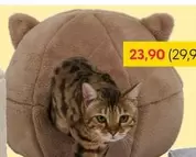 Cat Bed
