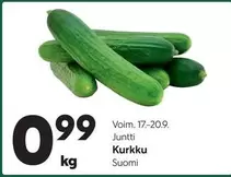 Kurkku