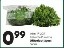 Jääsalaattipussi